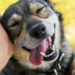 Meet your Posher, Haylie